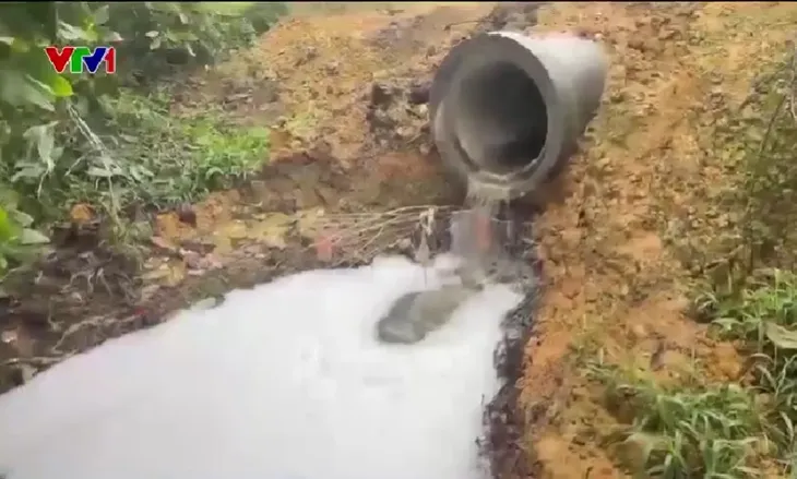 Khu xử lý chất thải lại xả thải ra môi trường - Ảnh 2. Khu xử lý chất thải lại xả thải ra môi trường - Ảnh 2.