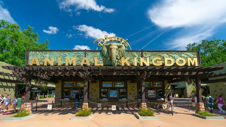 Walt Disney World tăng giá vé cho năm 2025 - Ảnh 1. Walt Disney World tăng giá vé cho năm 2025 - Ảnh 1.