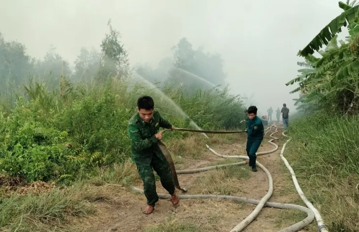 Cháy rừng tại Cà Mau, 40 ha bị thiêu rụi - Ảnh 2. Cháy rừng tại Cà Mau, 40 ha bị thiêu rụi - Ảnh 2.