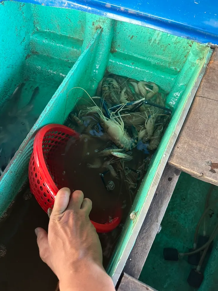 Đồng Nai: Bắt quả tang 2 đối tượng đổ thuốc sâu xuống sông để bắt tôm, cá - Ảnh 2. Đồng Nai: Bắt quả tang 2 đối tượng đổ thuốc sâu xuống sông để bắt tôm, cá - Ảnh 2.