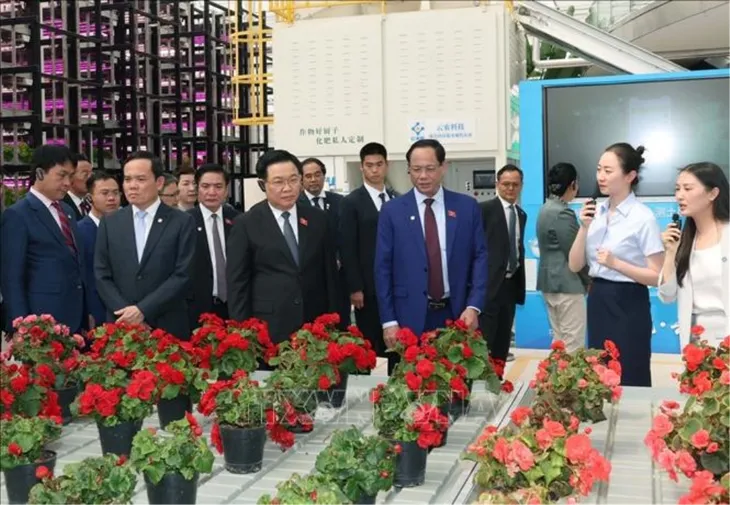 Chủ tịch Quốc hội Vương Đình Huệ thăm một số mô hình kinh tế tiêu biểu của tỉnh Vân Nam, Trung Quốc - Ảnh 1. Chủ tịch Quốc hội Vương Đình Huệ thăm một số mô hình kinh tế tiêu biểu của tỉnh Vân Nam, Trung Quốc - Ảnh 1.