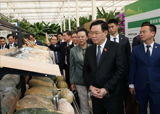 Chủ tịch Quốc hội Vương Đình Huệ thăm một số mô hình kinh tế tiêu biểu của tỉnh Vân Nam, Trung Quốc - Ảnh 2. Chủ tịch Quốc hội Vương Đình Huệ thăm một số mô hình kinh tế tiêu biểu của tỉnh Vân Nam, Trung Quốc - Ảnh 2.