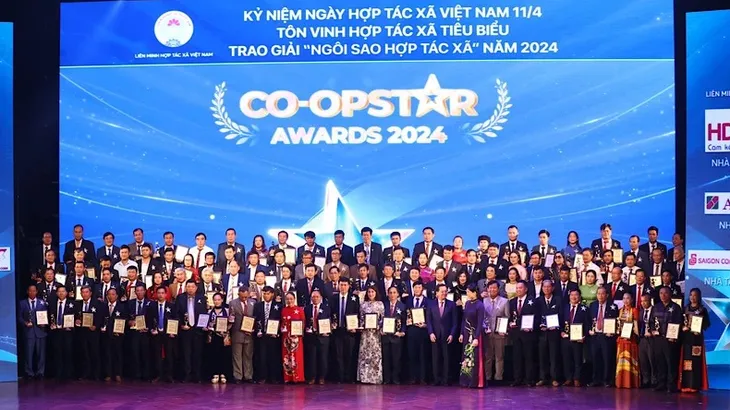 Tôn vinh 100 hợp tác xã và trao giải “Ngôi sao Hợp tác xã” năm 2024 - Ảnh 1. Tôn vinh 100 hợp tác xã và trao giải “Ngôi sao Hợp tác xã” năm 2024 - Ảnh 1.