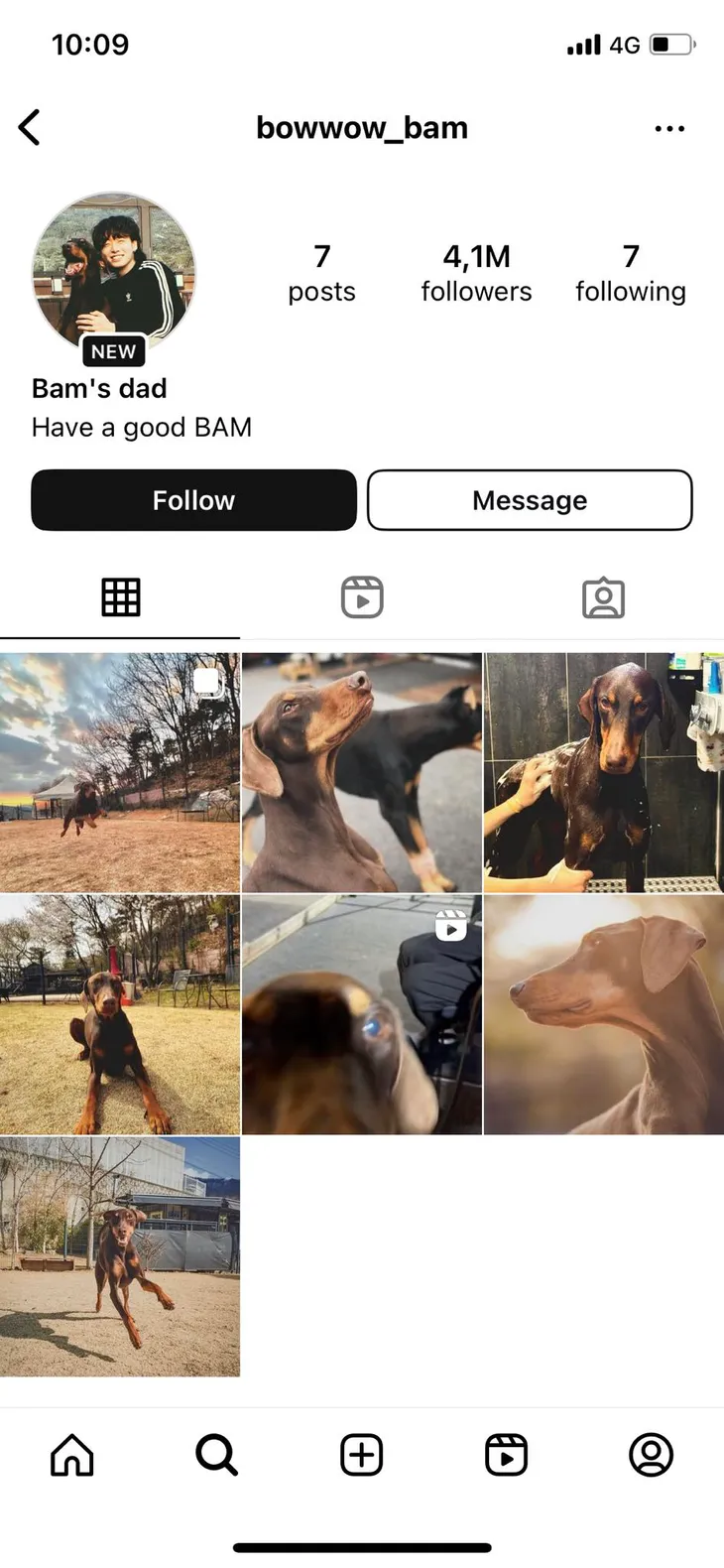 Jungkook (BTS) tạo tài khoản Instagram cho thú cưng, 3 triệu người theo dõi sau 1 ngày - Ảnh 2. Jungkook (BTS) tạo tài khoản Instagram cho thú cưng, 3 triệu người theo dõi sau 1 ngày - Ảnh 2.