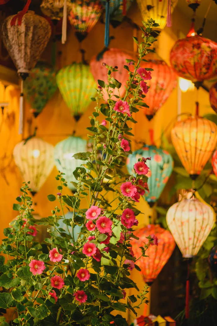 Hội An - Nơi thời gian chậm lại - Ảnh 1. Hội An - Nơi thời gian chậm lại - Ảnh 1.