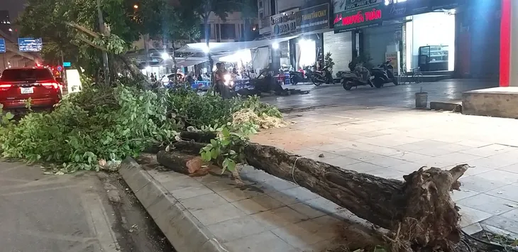 Hà Nội cắt dọn cây đổ trong đêm - Ảnh 8. Hà Nội cắt dọn cây đổ trong đêm - Ảnh 8.
