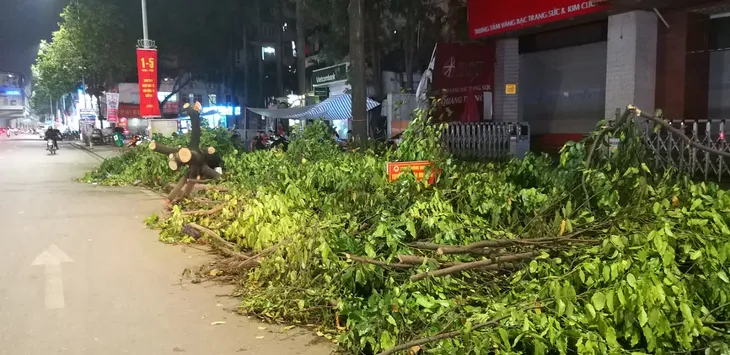Hà Nội cắt dọn cây đổ trong đêm - Ảnh 6. Hà Nội cắt dọn cây đổ trong đêm - Ảnh 6.