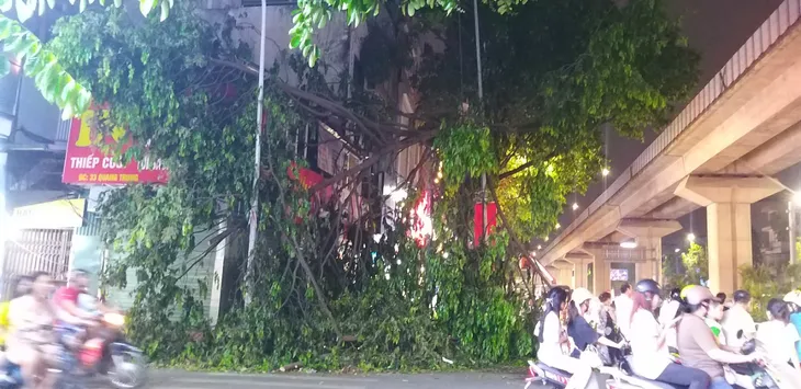 Hà Nội cắt dọn cây đổ trong đêm - Ảnh 1. Hà Nội cắt dọn cây đổ trong đêm - Ảnh 1.