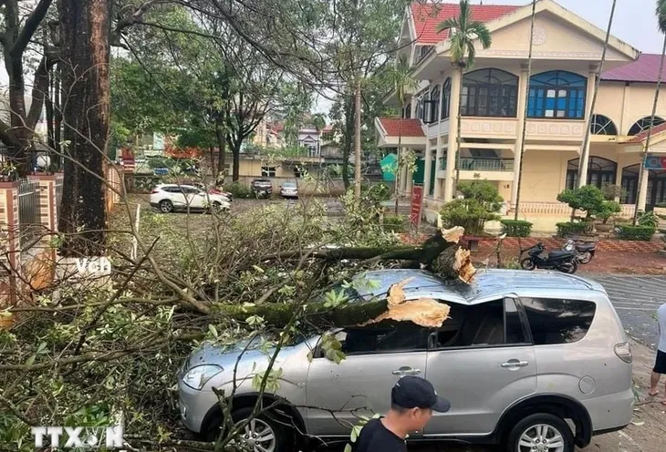 Mưa dông, gió lốc làm nhiều cây xanh bật gốc, hàng trăm nhà bị tốc mái - Ảnh 2. Mưa dông, gió lốc làm nhiều cây xanh bật gốc, hàng trăm nhà bị tốc mái - Ảnh 2.