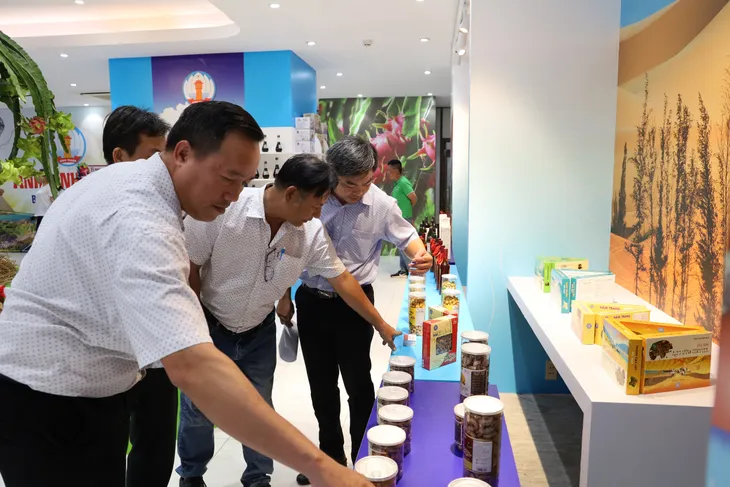 Mang sản phẩm đặc trưng tỉnh Bình Thuận đến gần hơn với người dân TP Hồ Chí Minh - Ảnh 1. Mang sản phẩm đặc trưng tỉnh Bình Thuận đến gần hơn với người dân TP Hồ Chí Minh - Ảnh 1.