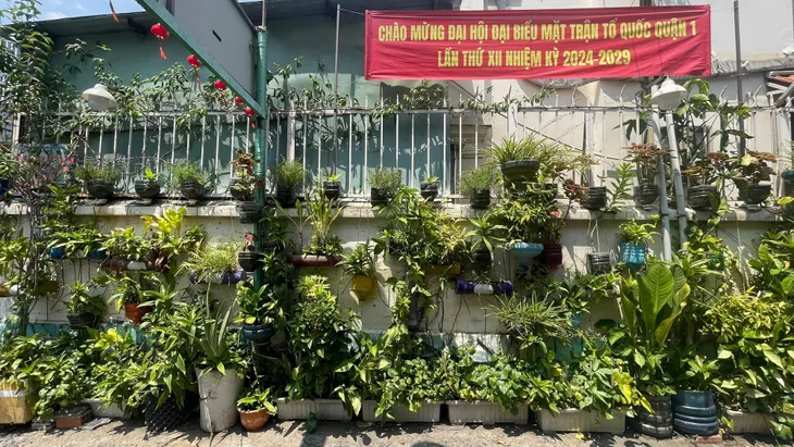 TP Hồ Chí Minh: Góc phố xanh từ rác thải tái chế - Ảnh 1. TP Hồ Chí Minh: Góc phố xanh từ rác thải tái chế - Ảnh 1.