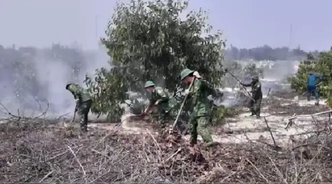 Thừa Thiên-Huế tăng cường biện pháp cấp bách phòng cháy, chữa cháy rừng - Ảnh 1. Thừa Thiên-Huế tăng cường biện pháp cấp bách phòng cháy, chữa cháy rừng - Ảnh 1.