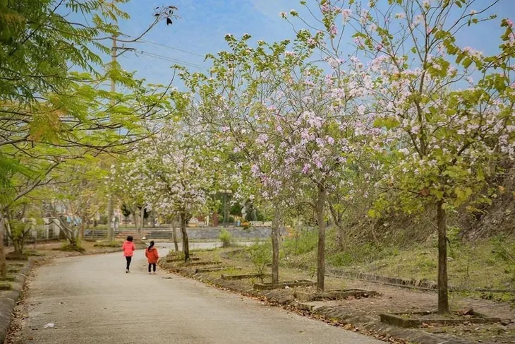 Năm du lịch quốc gia - Điện Biên 2024: Sức hút miền hoa ban - Ảnh 1. Năm du lịch quốc gia - Điện Biên 2024: Sức hút miền hoa ban - Ảnh 1.