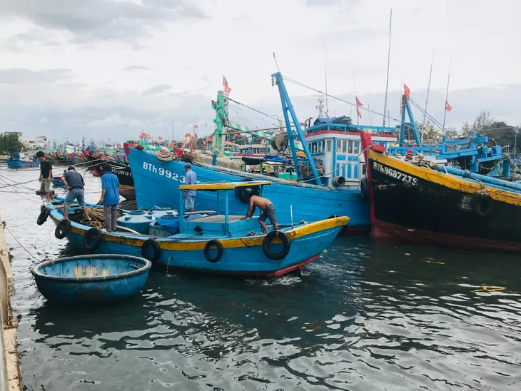 Bình Thuận quyết liệt kiểm soát tàu “3 không” - Ảnh 1. Bình Thuận quyết liệt kiểm soát tàu “3 không” - Ảnh 1.