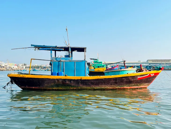 Bình Thuận quyết liệt kiểm soát tàu “3 không” - Ảnh 2. Bình Thuận quyết liệt kiểm soát tàu “3 không” - Ảnh 2.