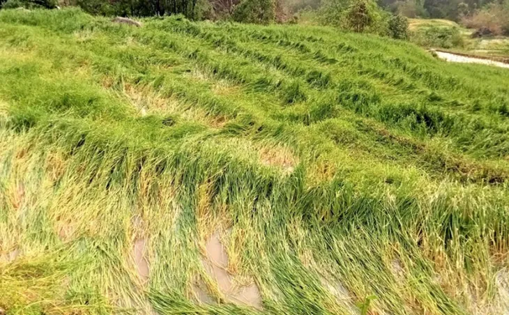 Mưa đá, dông lốc tại Điện Biên làm 3 người bị thương, hàng trăm ngôi nhà hư hại - Ảnh 3. Mưa đá, dông lốc tại Điện Biên làm 3 người bị thương, hàng trăm ngôi nhà hư hại - Ảnh 3.