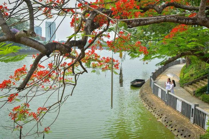 Nồng nàn sắc hoa mùa hạ - Ảnh 8. Nồng nàn sắc hoa mùa hạ - Ảnh 8.