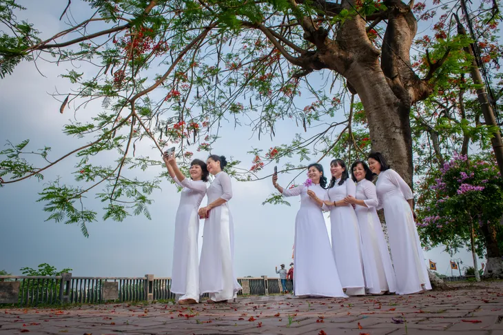 Nồng nàn sắc hoa mùa hạ - Ảnh 9. Nồng nàn sắc hoa mùa hạ - Ảnh 9.