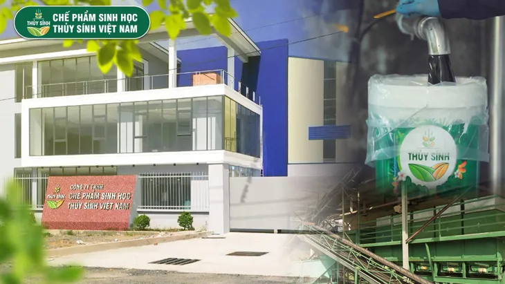 Phân bón Thuỷ Sính - Nhà sản xuất đáng tin cậy cho mọi nhà nông - Ảnh 2. Phân bón Thuỷ Sính - Nhà sản xuất đáng tin cậy cho mọi nhà nông - Ảnh 2.