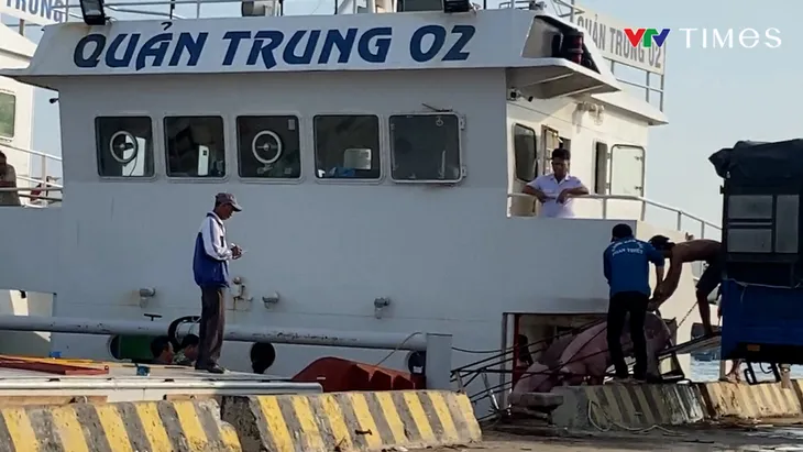 Bình Thuận: Duy nhất một đơn vị vận chuyển, gia súc ra đảo Phú Quý bị độn giá - Ảnh 1. Bình Thuận: Duy nhất một đơn vị vận chuyển, gia súc ra đảo Phú Quý bị độn giá - Ảnh 1.