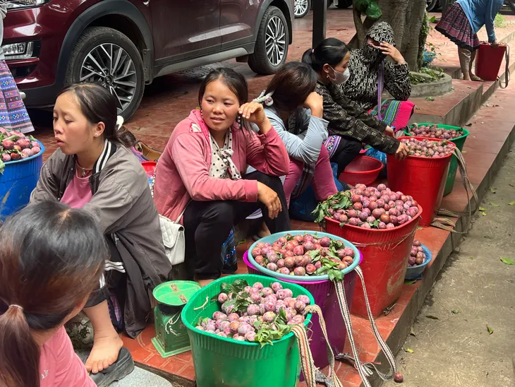 Mộc Châu: Sôi nổi Ngày hội hái quả Mận hậu năm 2024 - Ảnh 9. Mộc Châu: Sôi nổi Ngày hội hái quả Mận hậu năm 2024 - Ảnh 9.