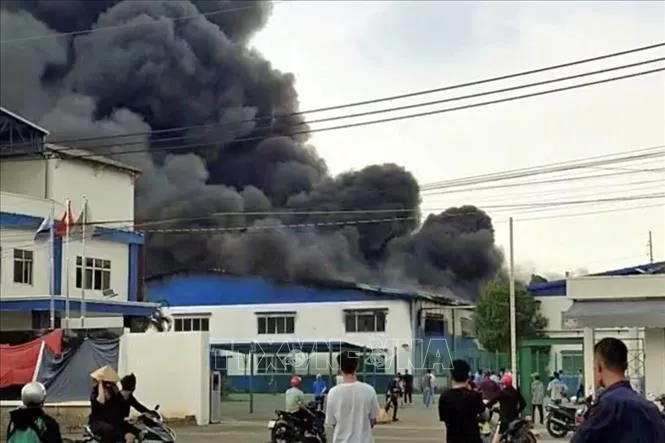 Cháy công ty sản xuất đế giày ở Đồng Nai, 1 người bị bỏng nặng - Ảnh 1. Cháy công ty sản xuất đế giày ở Đồng Nai, 1 người bị bỏng nặng - Ảnh 1.