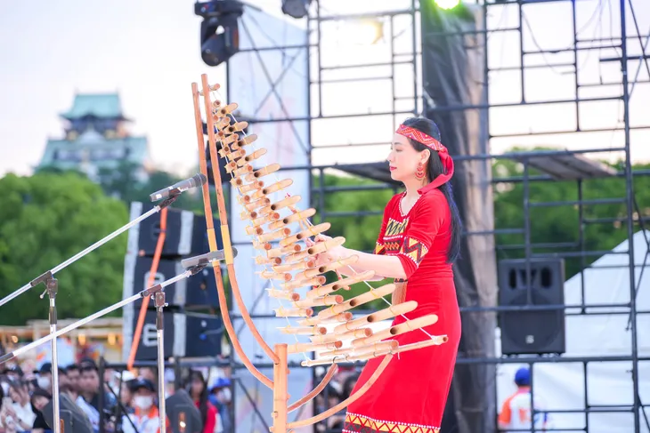 Nghệ thuật truyền thống Việt Nam tỏa sáng trên sân khấu Nhật Bản - Ảnh 7. Nghệ thuật truyền thống Việt Nam tỏa sáng trên sân khấu Nhật Bản - Ảnh 7.