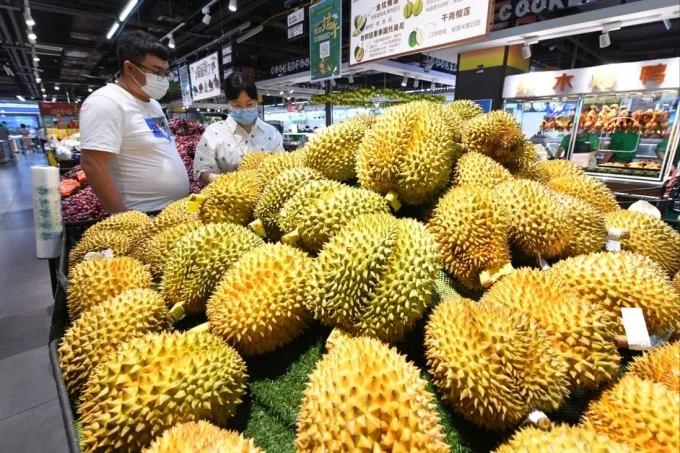 Sầu riêng - Trái cây thời thượng tại Trung Quốc - Ảnh 1. Sầu riêng - Trái cây thời thượng tại Trung Quốc - Ảnh 1.