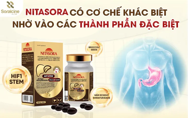 TPBVSK Nitasora: Đột phá mới trong hỗ trợ điều trị các bệnh lý về gan - Ảnh 2. TPBVSK Nitasora: Đột phá mới trong hỗ trợ điều trị các bệnh lý về gan - Ảnh 2.