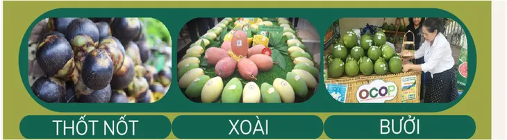 Liên kết tiêu thụ trái cây trong nước - Ảnh 1.