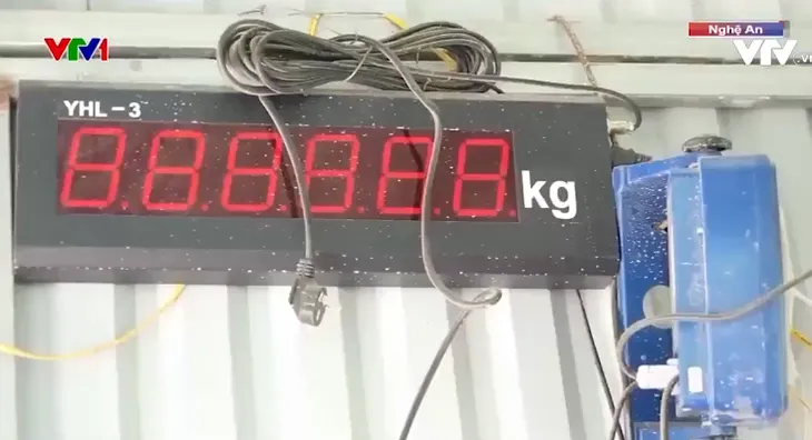 Lắp đặt trạm cân và camera trong khai thác khoáng sản còn mang tính hình thức - Ảnh 1. Lắp đặt trạm cân và camera trong khai thác khoáng sản còn mang tính hình thức - Ảnh 1.