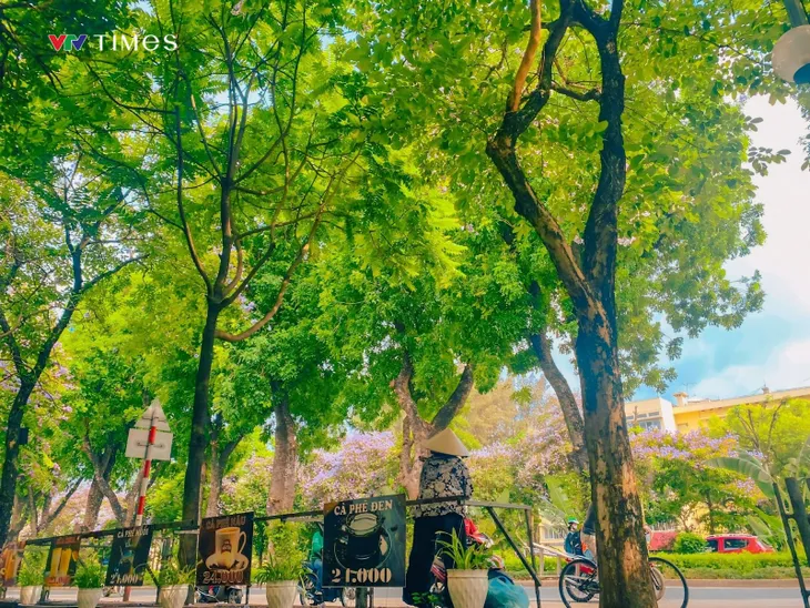 Những góc phố dịu mát giữa ngày hè ở Hà Nội - Ảnh 1. Những góc phố dịu mát giữa ngày hè ở Hà Nội - Ảnh 1.