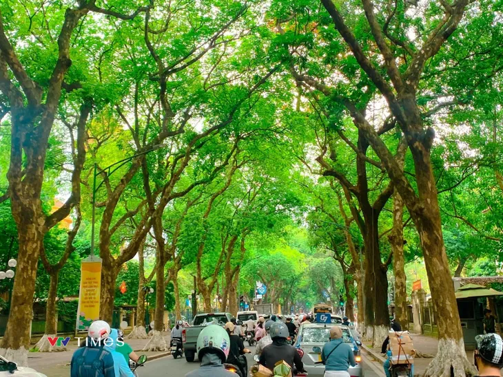 Những góc phố dịu mát giữa ngày hè ở Hà Nội - Ảnh 2. Những góc phố dịu mát giữa ngày hè ở Hà Nội - Ảnh 2.