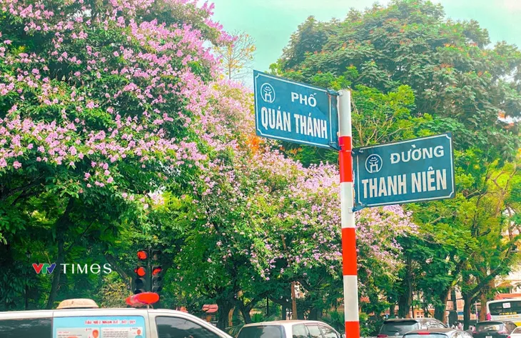Những góc phố dịu mát giữa ngày hè ở Hà Nội - Ảnh 5. Những góc phố dịu mát giữa ngày hè ở Hà Nội - Ảnh 5.