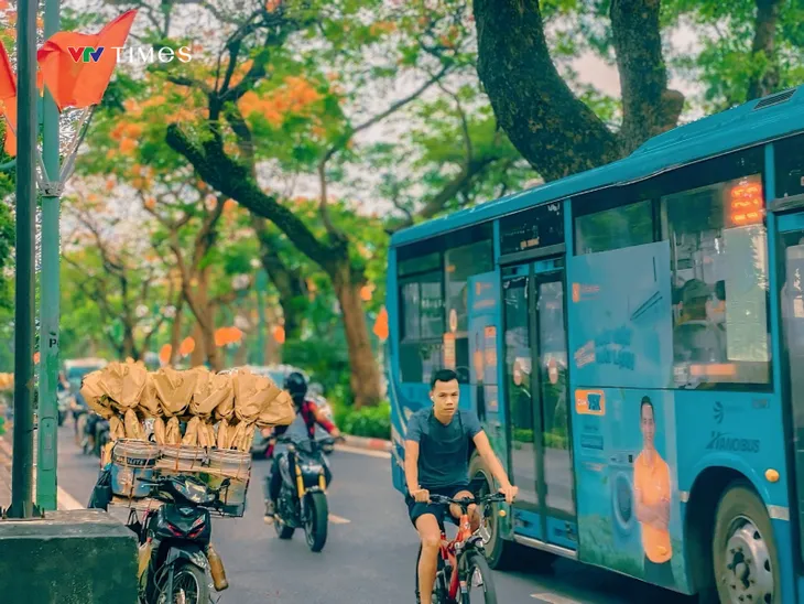 Những góc phố dịu mát giữa ngày hè ở Hà Nội - Ảnh 6. Những góc phố dịu mát giữa ngày hè ở Hà Nội - Ảnh 6.