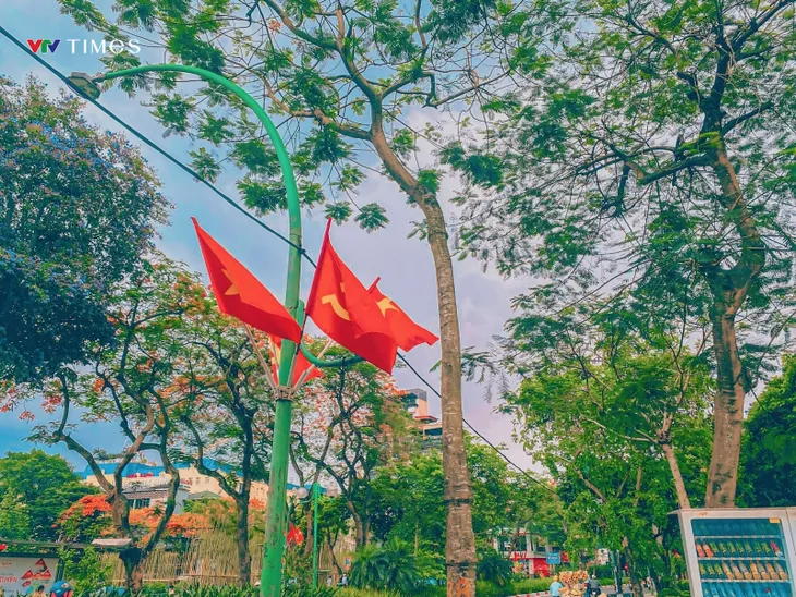 Những góc phố dịu mát giữa ngày hè ở Hà Nội - Ảnh 7. Những góc phố dịu mát giữa ngày hè ở Hà Nội - Ảnh 7.