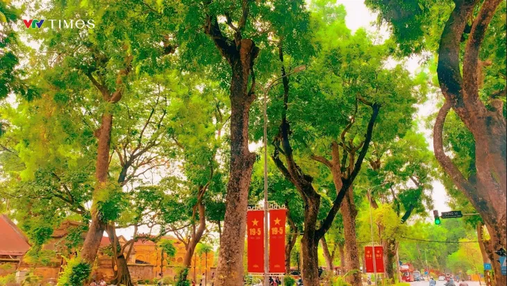 Những góc phố dịu mát giữa ngày hè ở Hà Nội - Ảnh 9. Những góc phố dịu mát giữa ngày hè ở Hà Nội - Ảnh 9.