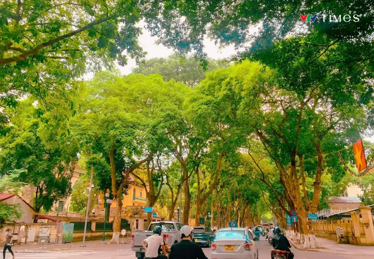 Những góc phố dịu mát giữa ngày hè ở Hà Nội - Ảnh 11. Những góc phố dịu mát giữa ngày hè ở Hà Nội - Ảnh 11.