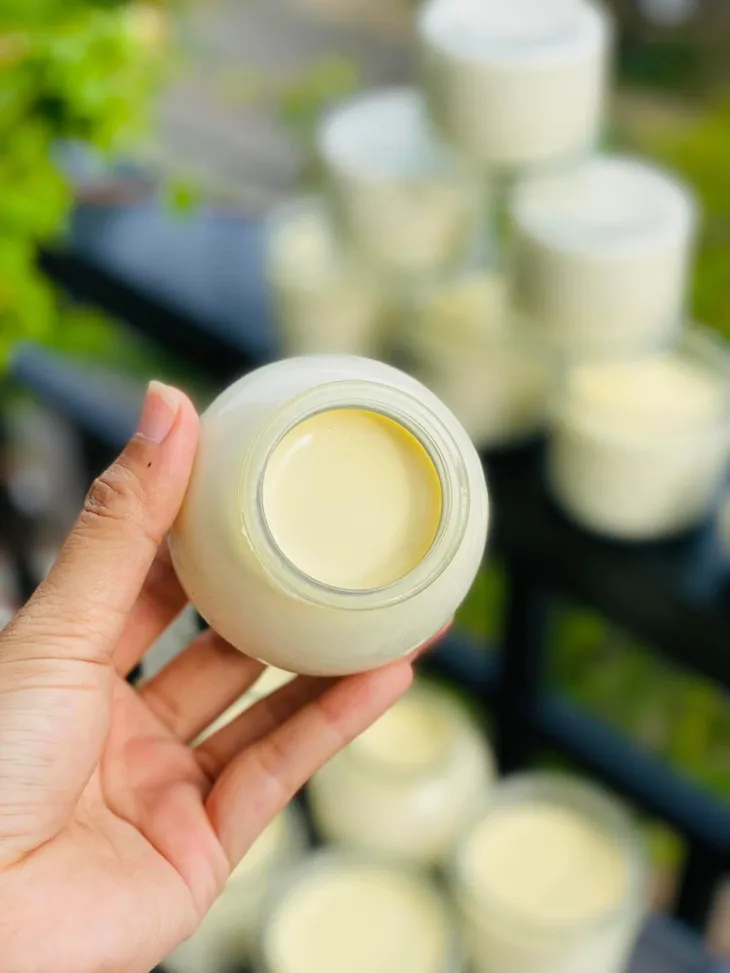 Hướng dẫn làm sữa chua phô mai - Ảnh 1. Hướng dẫn làm sữa chua phô mai - Ảnh 1.