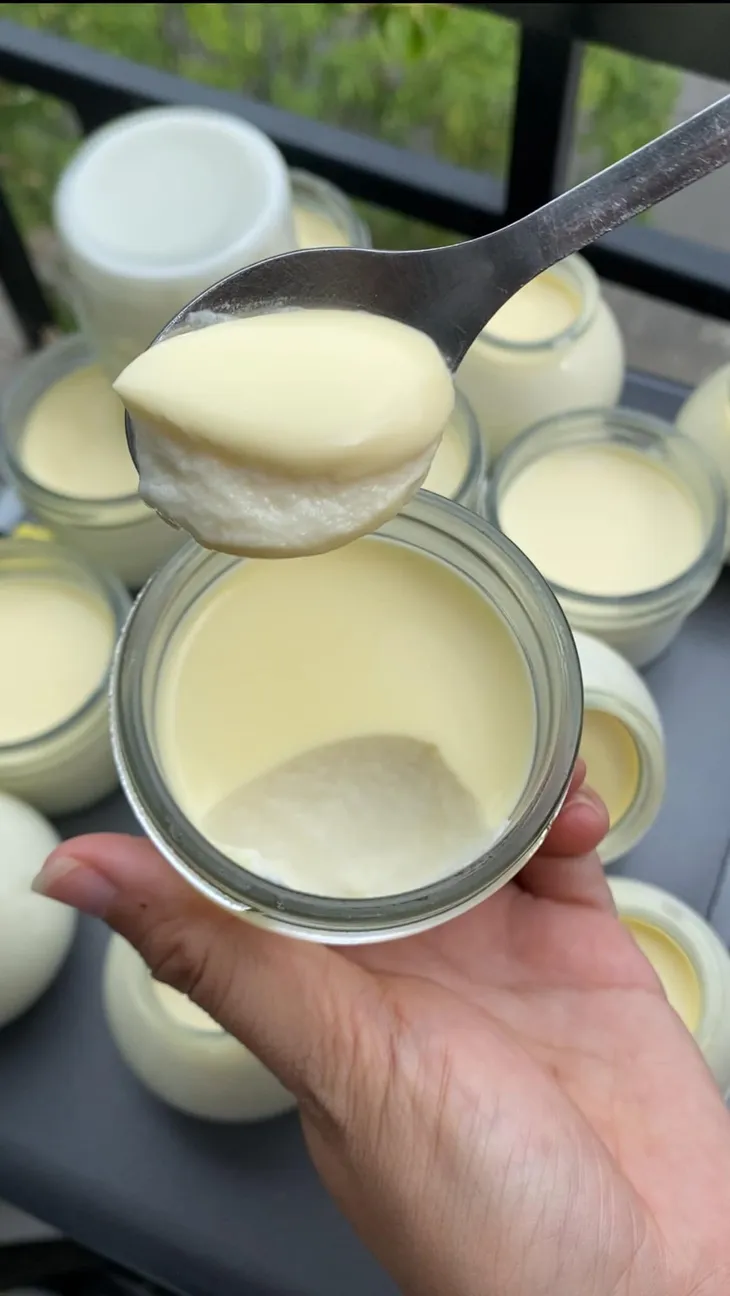 Hướng dẫn làm sữa chua phô mai - Ảnh 2. Hướng dẫn làm sữa chua phô mai - Ảnh 2.