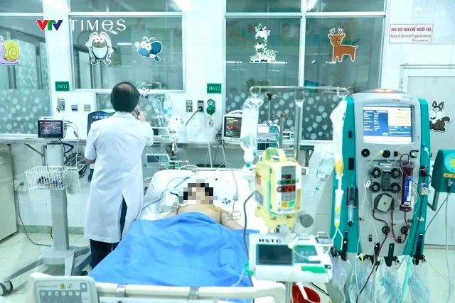 Vụ 560 người bị ngộ độc ở Đồng Nai: Patê, chả lụa của cơ sở bánh mì có vi khuẩn Salmonella - Ảnh 1. Vụ 560 người bị ngộ độc ở Đồng Nai: Patê, chả lụa của cơ sở bánh mì có vi khuẩn Salmonella - Ảnh 1.