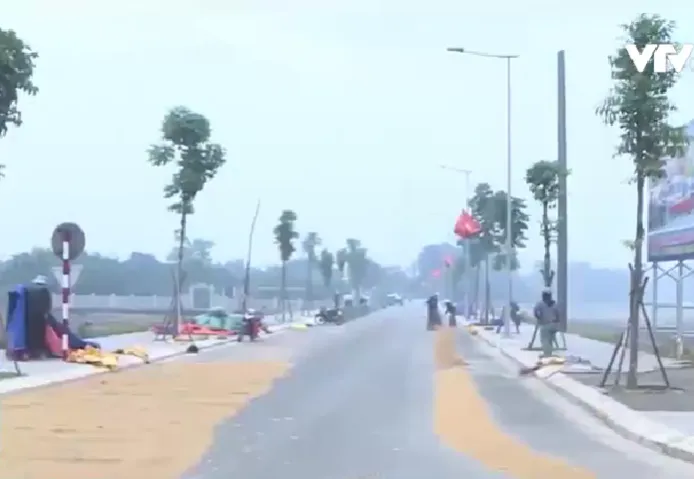 Tiềm ẩn tai nạn do đốt rơm rạ, phơi thóc trên đường - Ảnh 2. Tiềm ẩn tai nạn do đốt rơm rạ, phơi thóc trên đường - Ảnh 2.