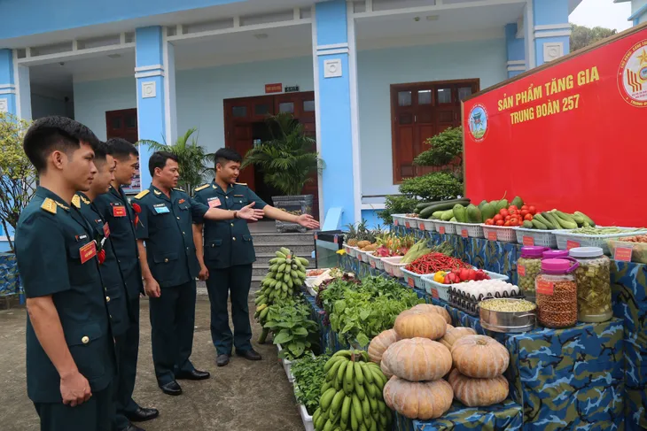 Tiếp tục đẩy mạnh phong trào thi đua quyết thắng trong Quân chủng Phòng không – Không quân - Ảnh 2.
