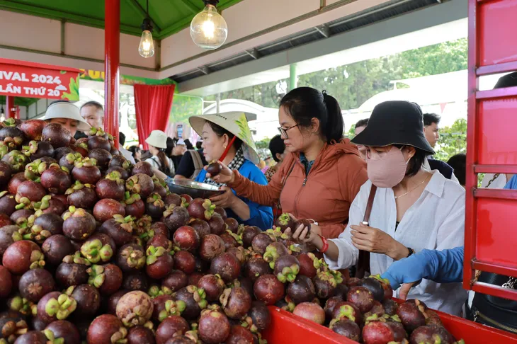 Khai mạc Lễ hội Trái cây Nam Bộ lần thứ 20 - Ảnh 5. Khai mạc Lễ hội Trái cây Nam Bộ lần thứ 20 - Ảnh 5.