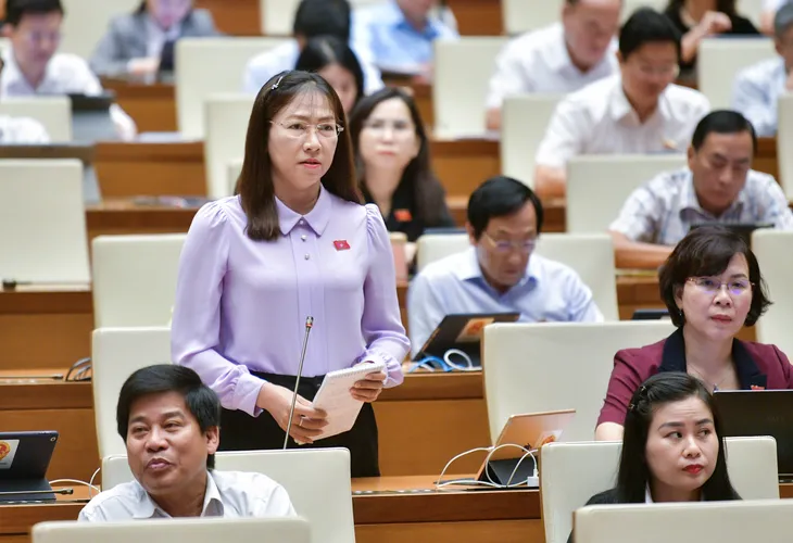 ĐBQH chất vấn Tổng Kiểm toán Nhà nước về các vụ án Phúc Sơn, Thuận An - Ảnh 2. ĐBQH chất vấn Tổng Kiểm toán Nhà nước về các vụ án Phúc Sơn, Thuận An - Ảnh 2.