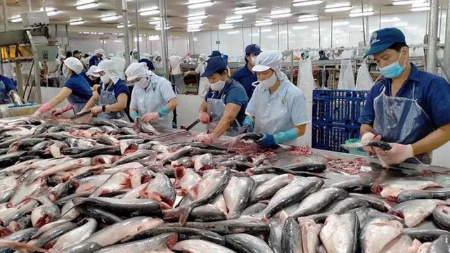 Xuất khẩu thuỷ sản tiếp đà tăng - Ảnh 1. Xuất khẩu thuỷ sản tiếp đà tăng - Ảnh 1.