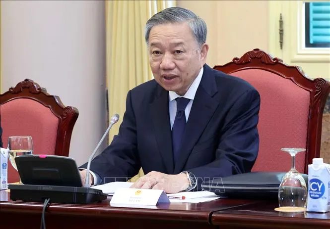 Chủ tịch nước Tô Lâm tiếp Đại sứ các nước châu Âu - Ảnh 2. Chủ tịch nước Tô Lâm tiếp Đại sứ các nước châu Âu - Ảnh 2.
