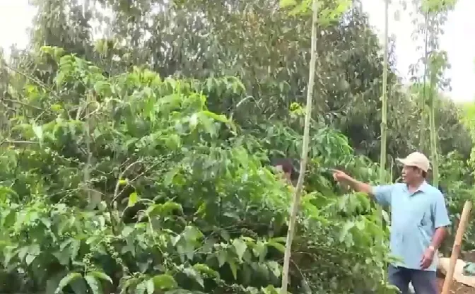 Phát huy vai trò của đảng viên đồng bào dân tộc thiểu số - Ảnh 1. Phát huy vai trò của đảng viên đồng bào dân tộc thiểu số - Ảnh 1.