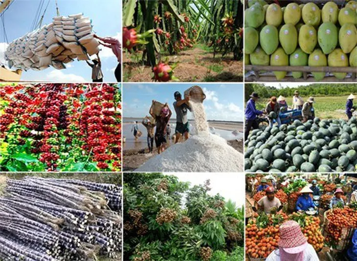 Hàng Việt đón cơ hội vàng khi Anh xóa 94,4% dòng thuế - Ảnh 2. Hàng Việt đón cơ hội vàng khi Anh xóa 94,4% dòng thuế - Ảnh 2.