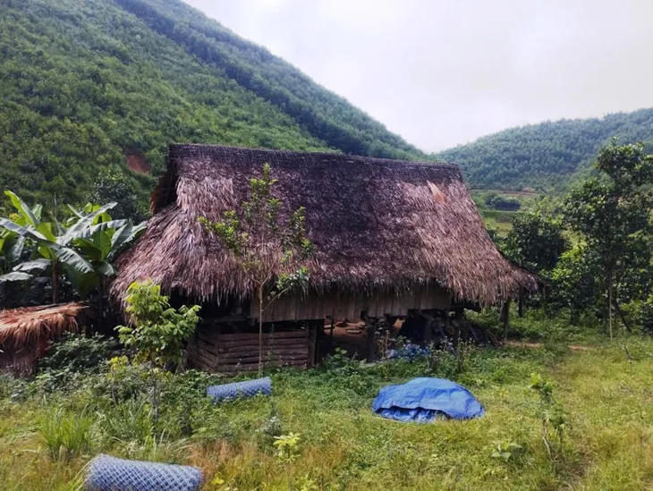 Lập chòi, lán mua bán số lượng lớn ma túy trong rừng sâu - Ảnh 2. Lập chòi, lán mua bán số lượng lớn ma túy trong rừng sâu - Ảnh 2.